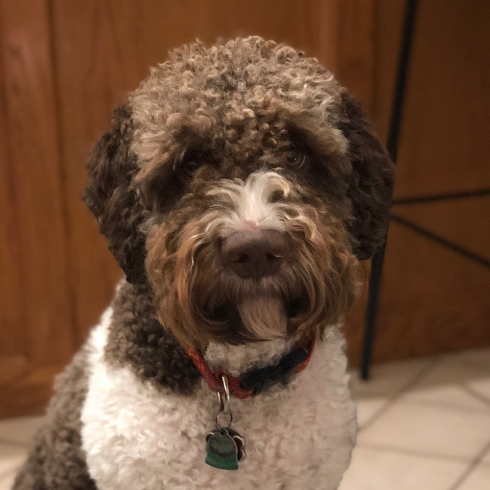 Meet your Posher, Stephen